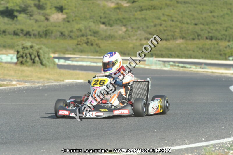 DSC (4135).JPG